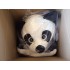 Kostüm Panda Maskottchen 1 (Hochwertig)