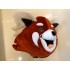 Kostüm Roter Panda Maskottchen 6 (Hochwertig)