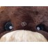 Kostüm Bär Maskottchen 21 (Hochwertig)