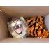 Maskottchen Tiger Kostüm 2 (Werbefigur)