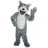 Kostüm Hund Husky Maskottchen 1 (Werbefigur)