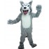 Kostüm Hund Husky Maskottchen 2 (Werbefigur)