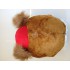 Maskottchen Hund 23