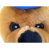 Kostüm Bär Maskottchen 20 (Hochwertig)