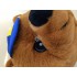 Kostüm Bär Maskottchen 20 (Hochwertig)