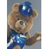 Kostüm Bär Maskottchen 17 (Hochwertig)