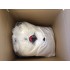Kostüm Osterhase Lauffigur 14 & Kissen & Tasche (Promotion)