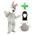 Angebot Oster Hasen Kostüm Grau + Kissen + Hygiene Maske (Promotion Qualitat)