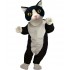 Maskottchen Katze 5