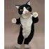 Maskottchen Katze Kostüm 5 (Werbefigur)