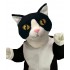 Maskottchen Katze Kostüm 5 (Werbefigur)
