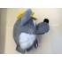 Kostüm Wolf Maskottchen 9 (Hochwertig)