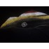 Kostüm Frosch Maskottchen 4 (Hochwertig)