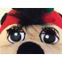 Kostüm Maikäfer Maskottchen (Hochwertig)