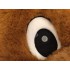 Kostüm Bär Maskottchen 19 (Hochwertig)