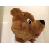 Kostüm Bär Maskottchen 19 (Hochwertig)