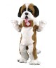 Maskottchen Bernhardiner