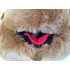 Kostüm Bär Maskottchen 18 (Hochwertig)