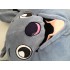 Maskottchen Koala