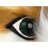 Kostüm Katze Maskottchen 12 (Hochwertig)