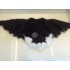 Maskottchen Adler Küken Kostüm (Hochwertig)