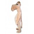 Kostüm Kamel Maskottchen 3 (Hochwertig)