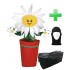 Kostüm Blumen Topf + Tasche "XL" + Hygiene Maske (Hochwertig)