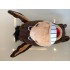 Kostüm Esel Maskottchen 4 (Hochwertig)