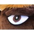 Kostüm Büffel / Stier 5 + Kühlweste "Blue M24" + Tasche "Star" + Hygiene Maske (Hochwertig)