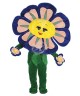Kostüm Blume blau