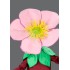 Kostüm Blume Rosa Maskottchen 2 (Hochwertig)