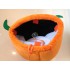 Lauffigur Möhre Kostüm (Laufkostüm Möhrenkostüm Maskottchen)