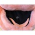 Maskottchen Schwein 10 + Tasche "Star" + Hygiene Maske (Hochwertig)