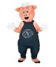 Maskottchen Schwein 7