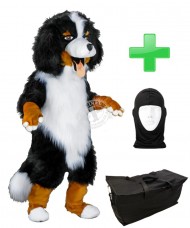 Kostüm Berner Sennenhund 27 + Tasche "Star" + Hygiene Maske (Hochwertig)