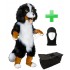 Kostüm Berner Sennenhund 27 + Tasche "Star" + Hygiene Maske (Hochwertig)