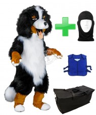 Kostüm Berner Sennenhund 27 + Kühlweste "Blue M24" + Tasche "Star" + Hygiene Maske (Hochwertig)