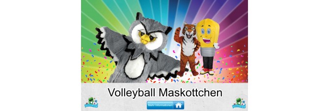 Volleyball