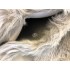 Kostüm Tauben Maskottchen (Hochwertig)