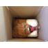 Kostüm Osterhase Lauffigur 13 & Kissen & Tasche (Promotion)