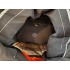 Kostüm Katze 19 + Tasche "Star" + Hygiene Maske (Hochwertig)