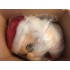 Kostüm Weihnachtsmann Maskottchen 1 (Hochwertig)