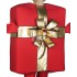Kostüm Geschenk Box Maskottchen (Hochwertig)