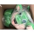 Kostüm Drache 17 + Kühlweste "Blue M24" + Tasche "Star" + Hygiene Maske (Hochwertig)