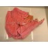 Kostüm Flamingo + Tasche "Star" + Hygiene Maske (Hochwertig)
