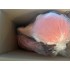 Kostüm Flamingo + Tasche "Star" + Hygiene Maske (Hochwertig)