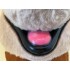 Kostüm Bär 1 + Haube + Kissen + Tasche (Werbefigur)
