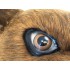Maskottchen Grizzly Bär Kostüm (Werbefigur)