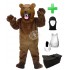 Kostüm Grizzlybär / Bär + Haube + Kissen + Tasche (Werbefigur)