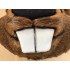 Biber Maskottchen Kostüm 1 (Professionell)